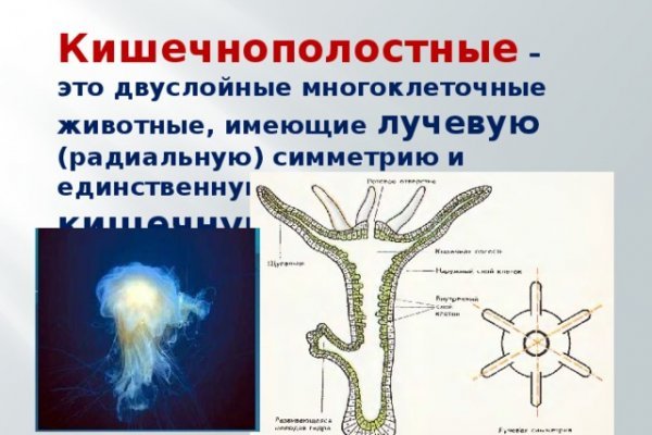 Ссылка на mega megadarknet de