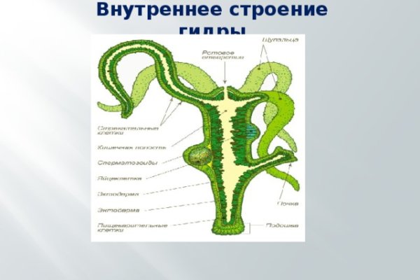 Mega зеркало мориарти